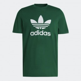 Koszulka męska Adidas Trefoil Tee- IA4819