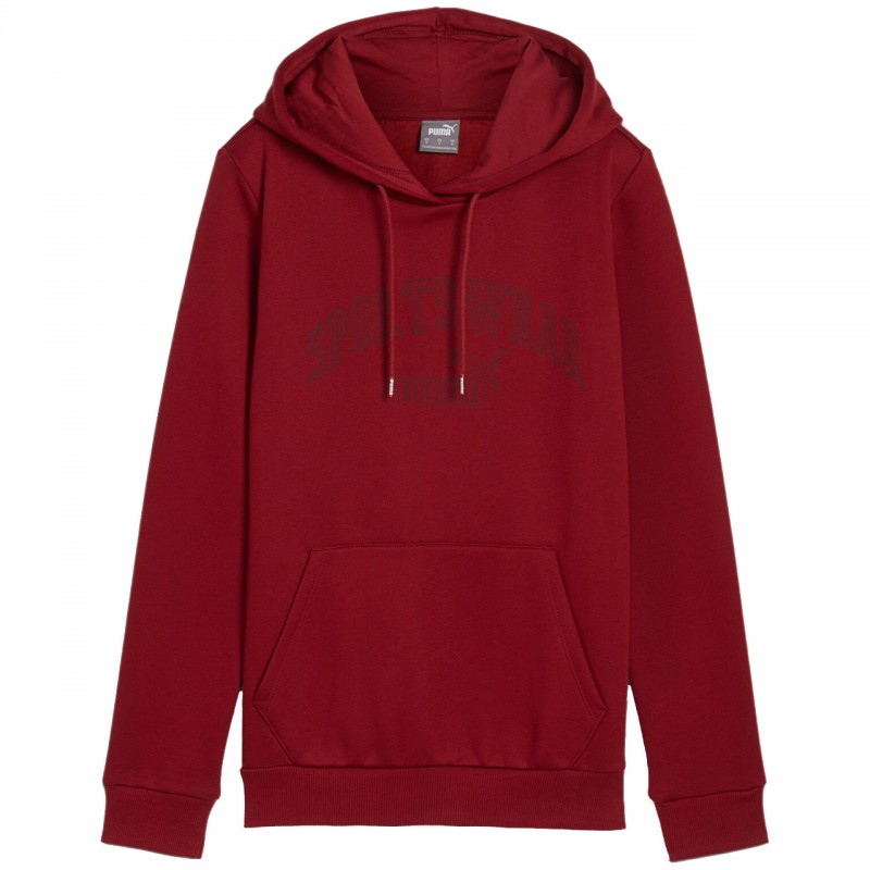 Bluza damska Puma Ess+ Logo LAB Hoodie FL bordowa - 682987 13