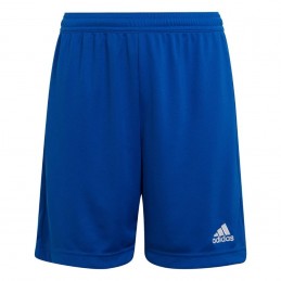 Spodenki młodzieżowe adidas Entrada 22 niebieskie - HG6291