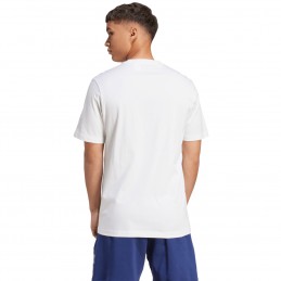 Koszulka męska adidas Collegiate Lineage Graphic biała - JM6416