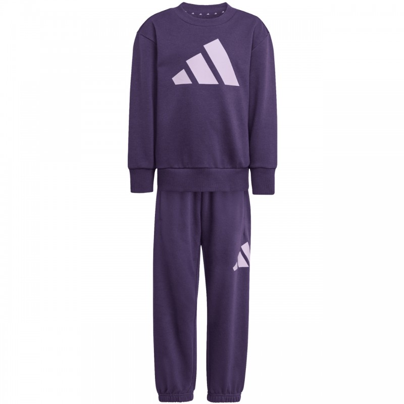 Dres młodzieżowy adidas Essentials Joggers fioletowy - JW2439