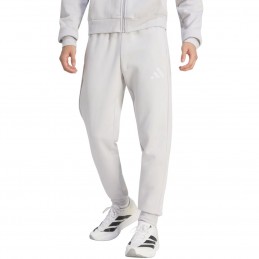 Spodnie męskie adidas Entrada 26 Sweat szare - JZ9139